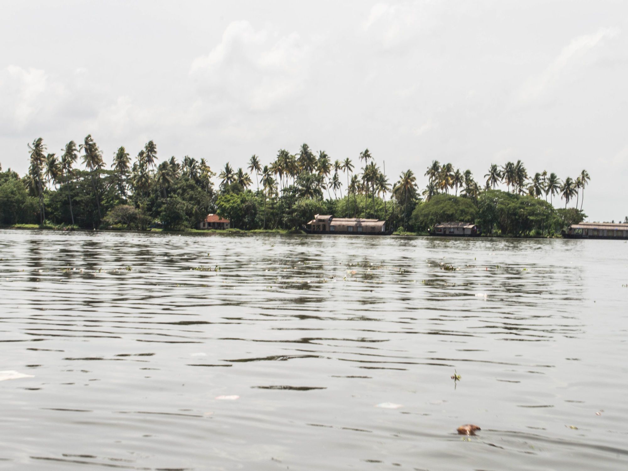Oyo 5237 Island Lake Resort Alappuzha Buitenkant foto